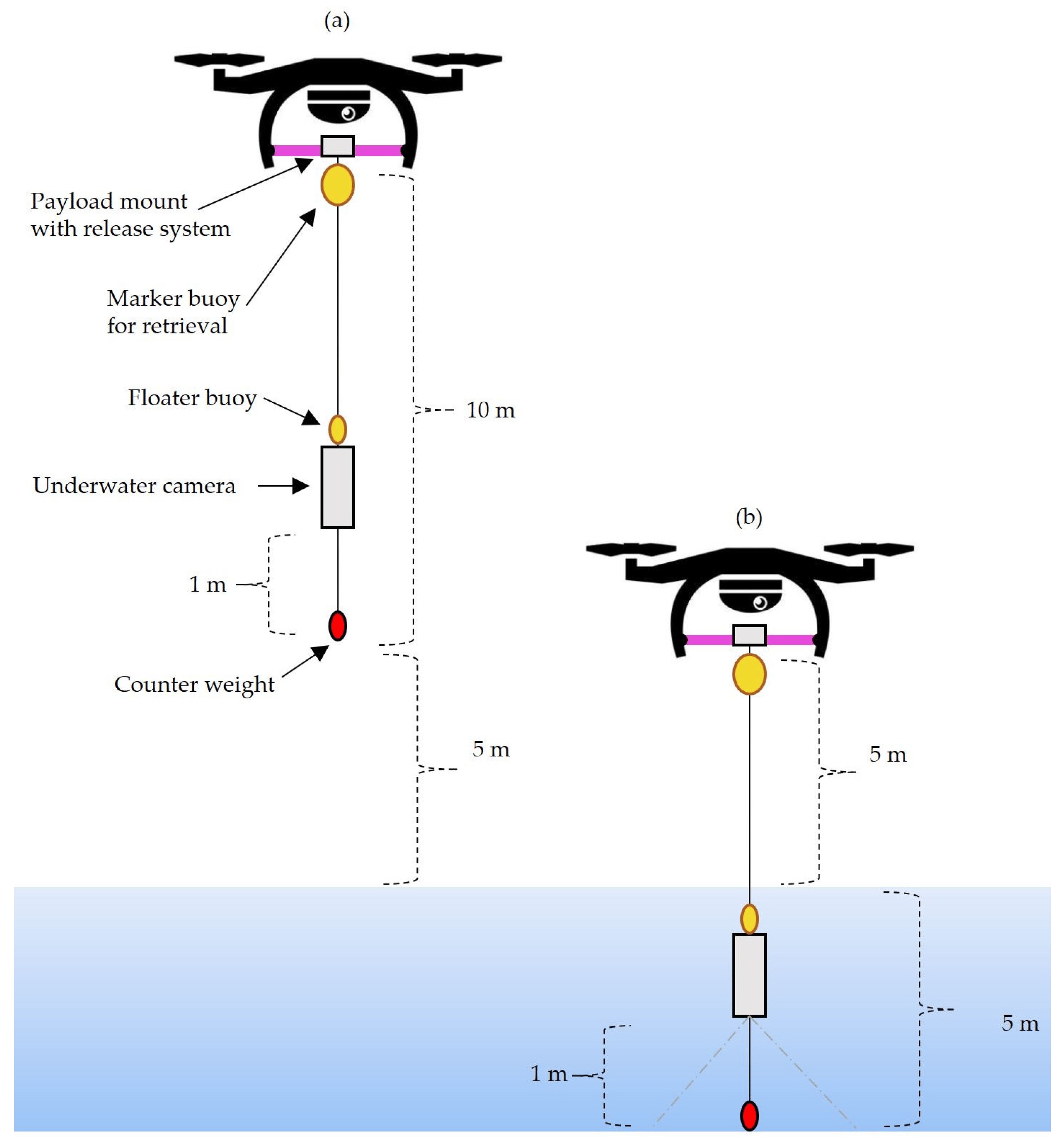 Retrieval concept schematic